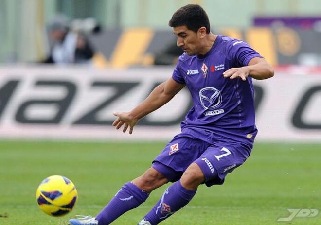 费迪南德 托雷斯 费迪南德 托雷斯