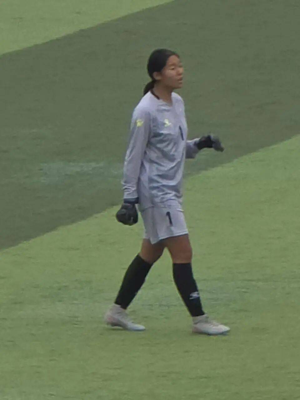 日本女足联赛新星崭露头角,赢得球迷喝彩的是谁